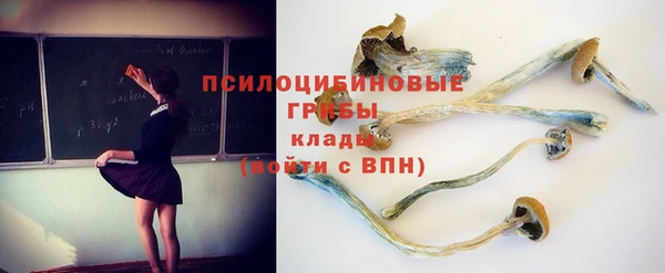 ALPHA PVP Богданович