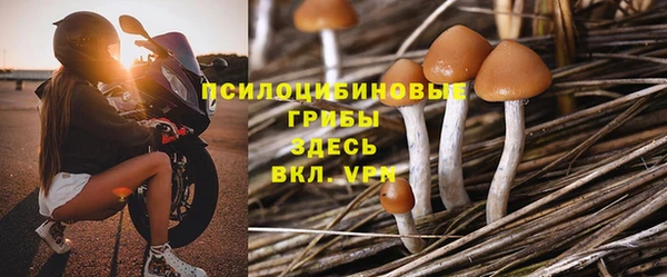 мдма Богородицк